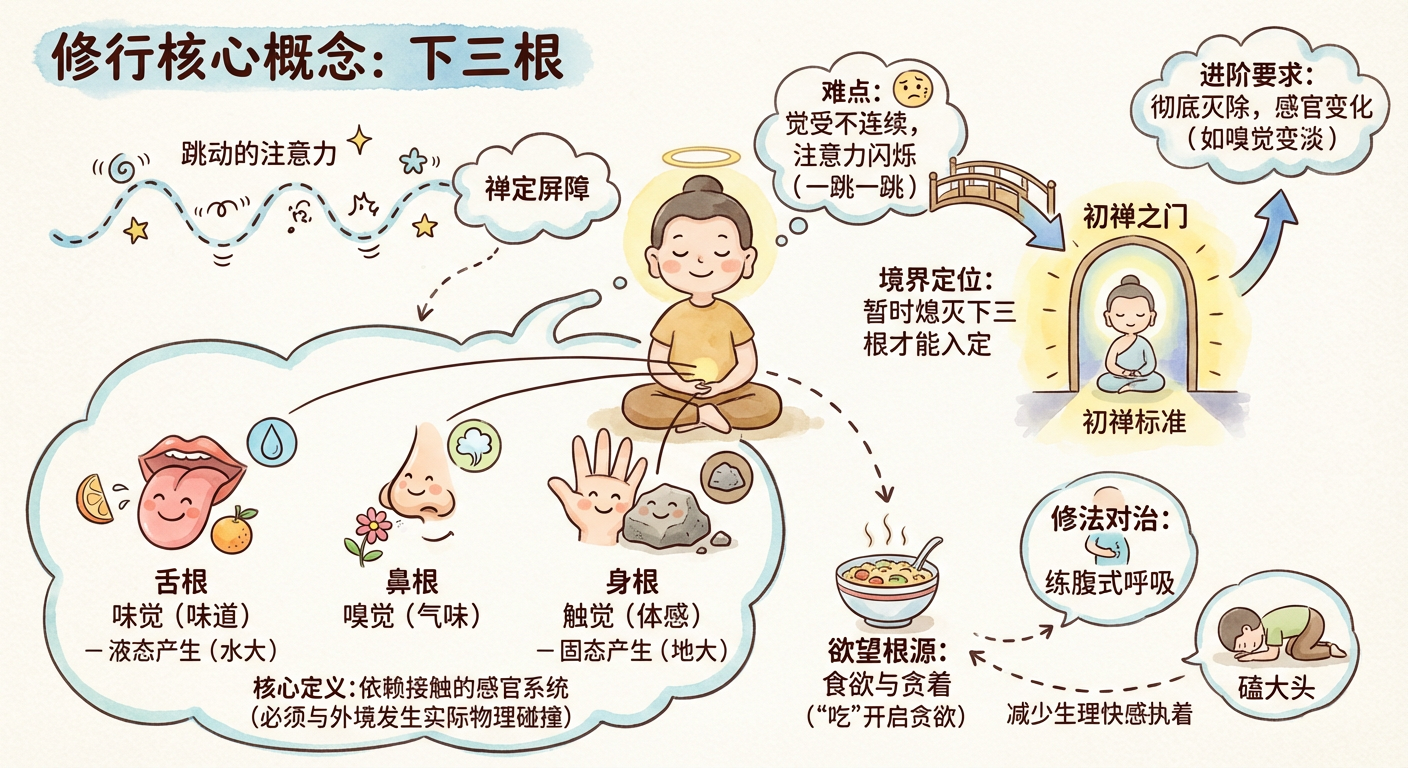 下三根(三) - 根器分類圖解